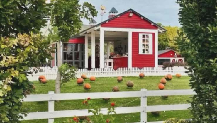 Una casa con il giardino ripieno di zucche
