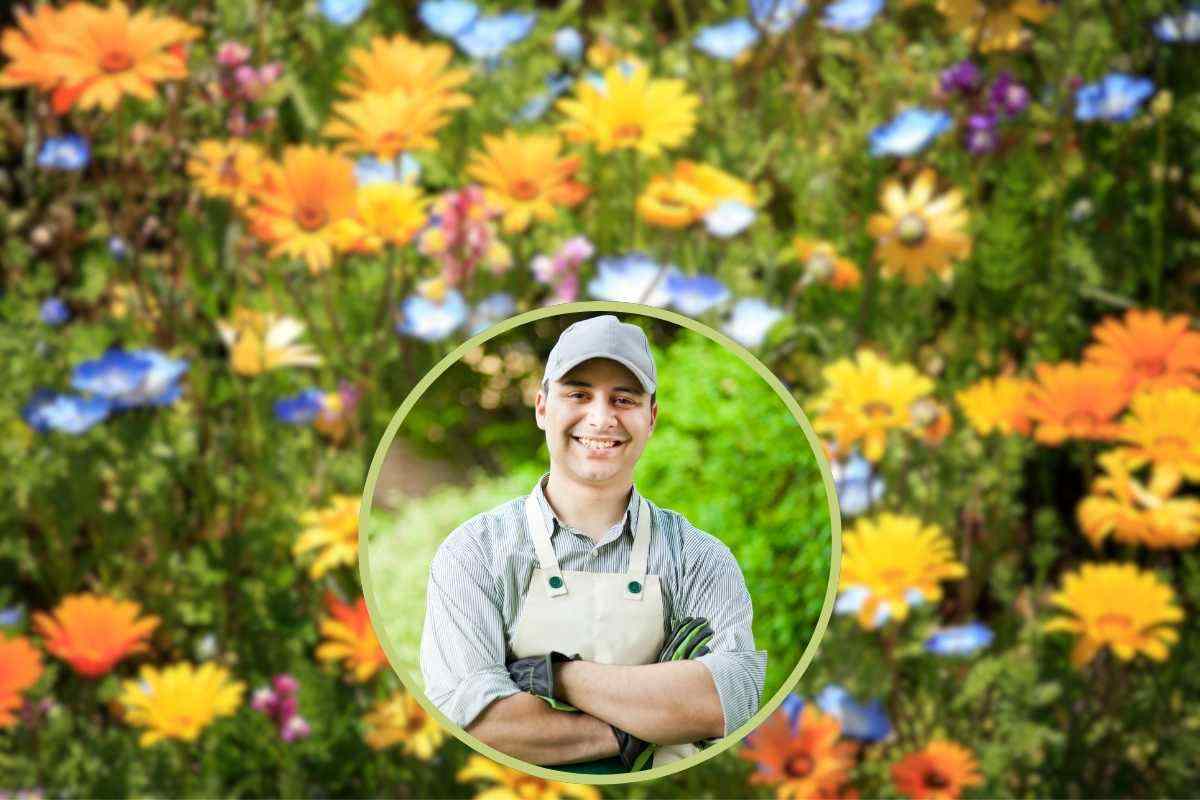 giardino con fiori e giardiniere nel riquadro