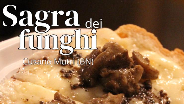 Immagine di un piatto coi funghi e scritta Sagra dei funghi